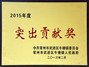 突出貢獻獎